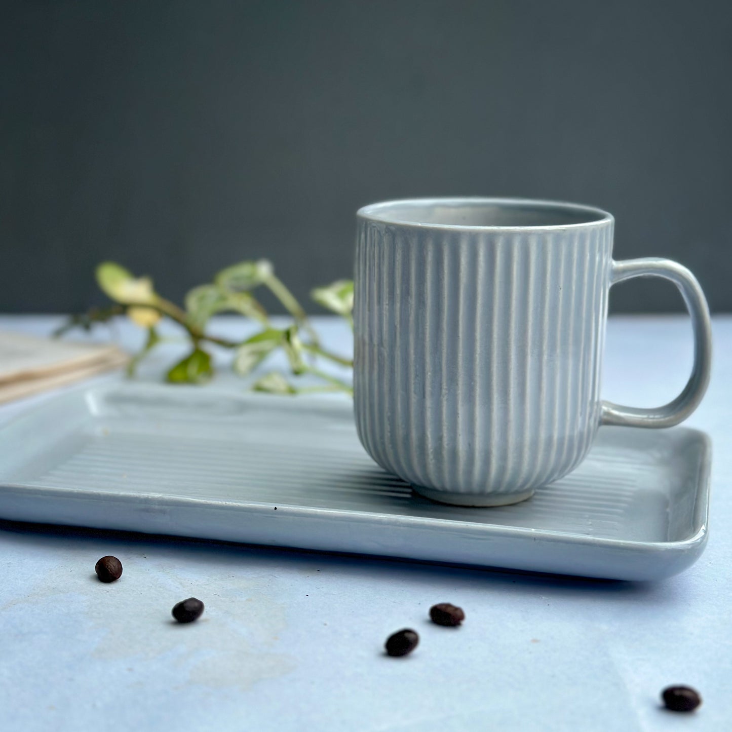 Pastel Ceramic Mugs With Tray