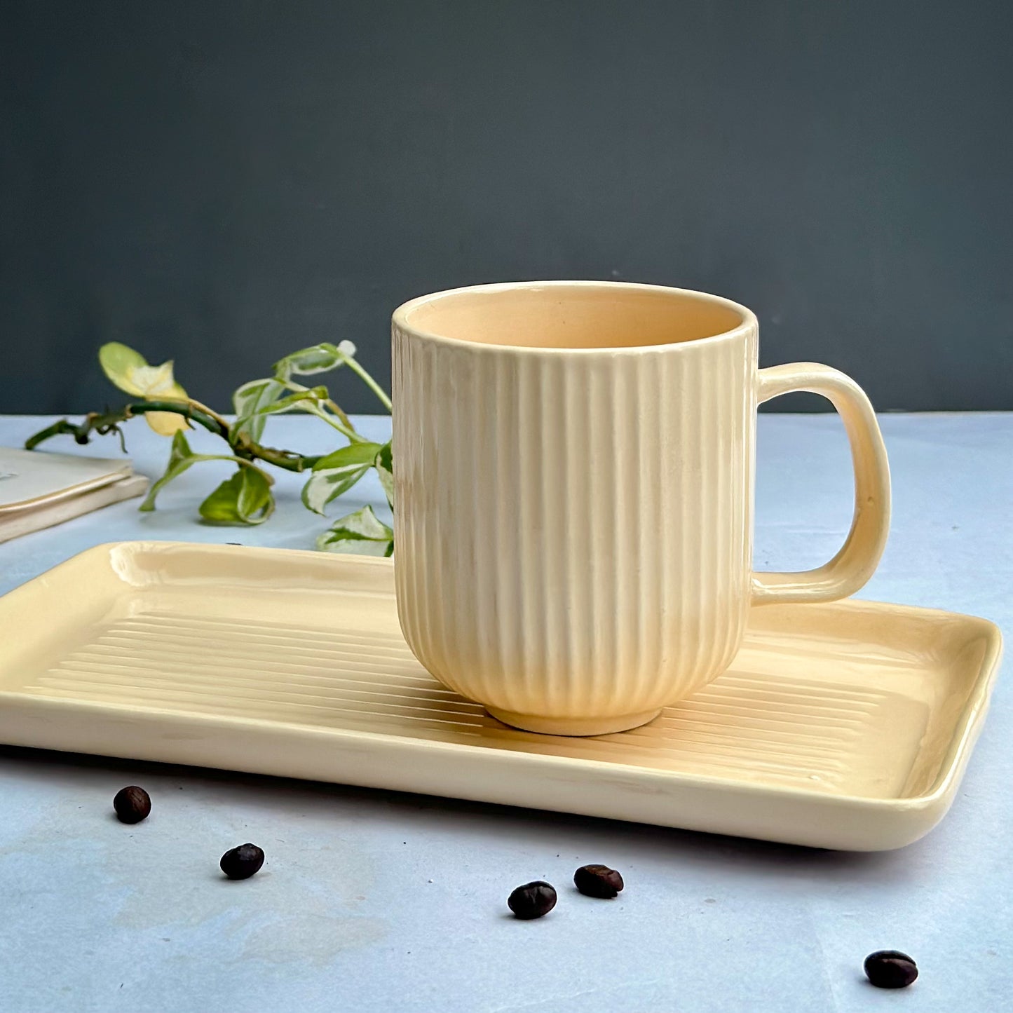 Pastel Ceramic Mugs With Tray