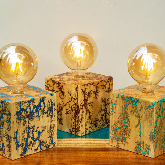 Fractal Resin Lamp
