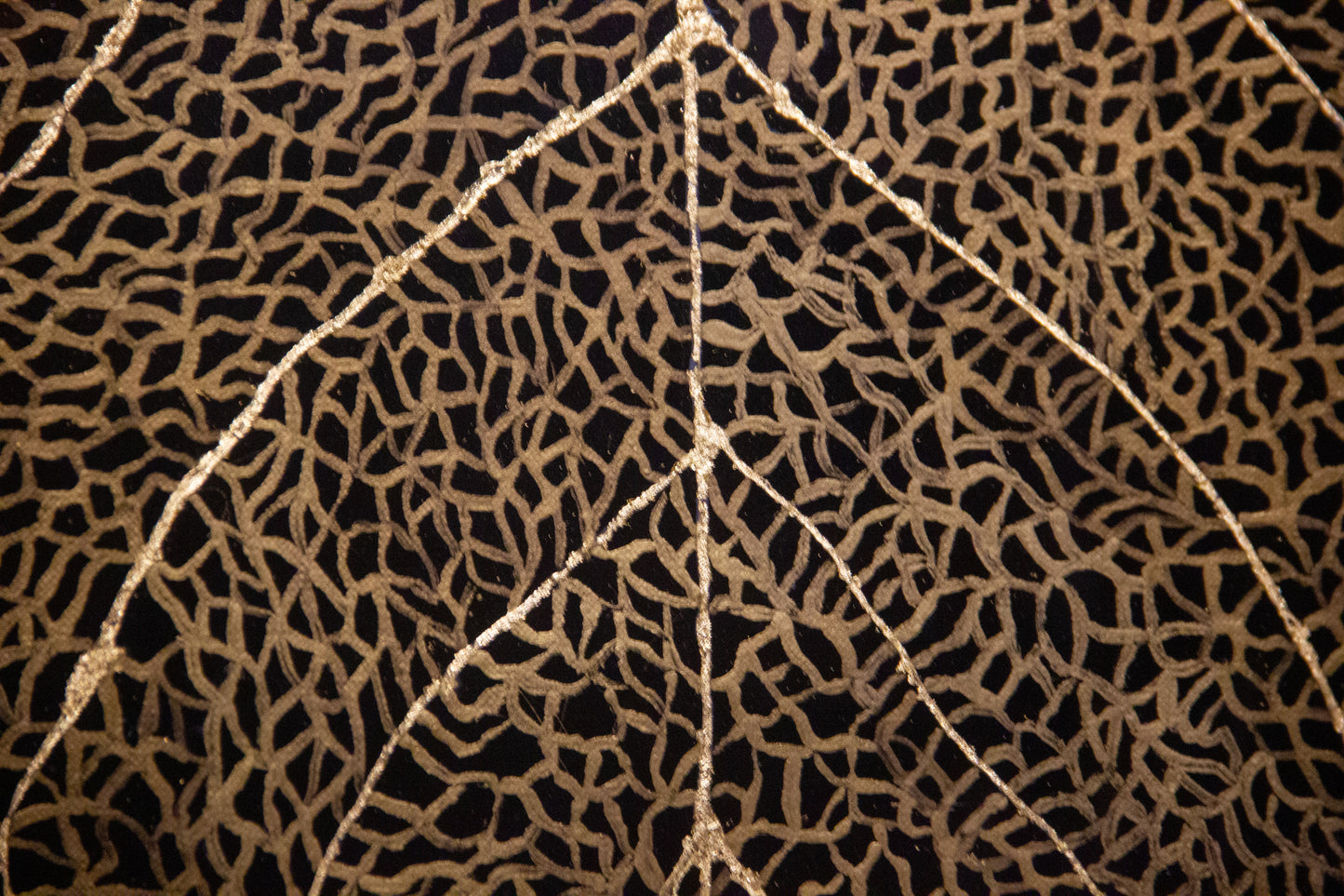 Gold Leaf Resin Artwork