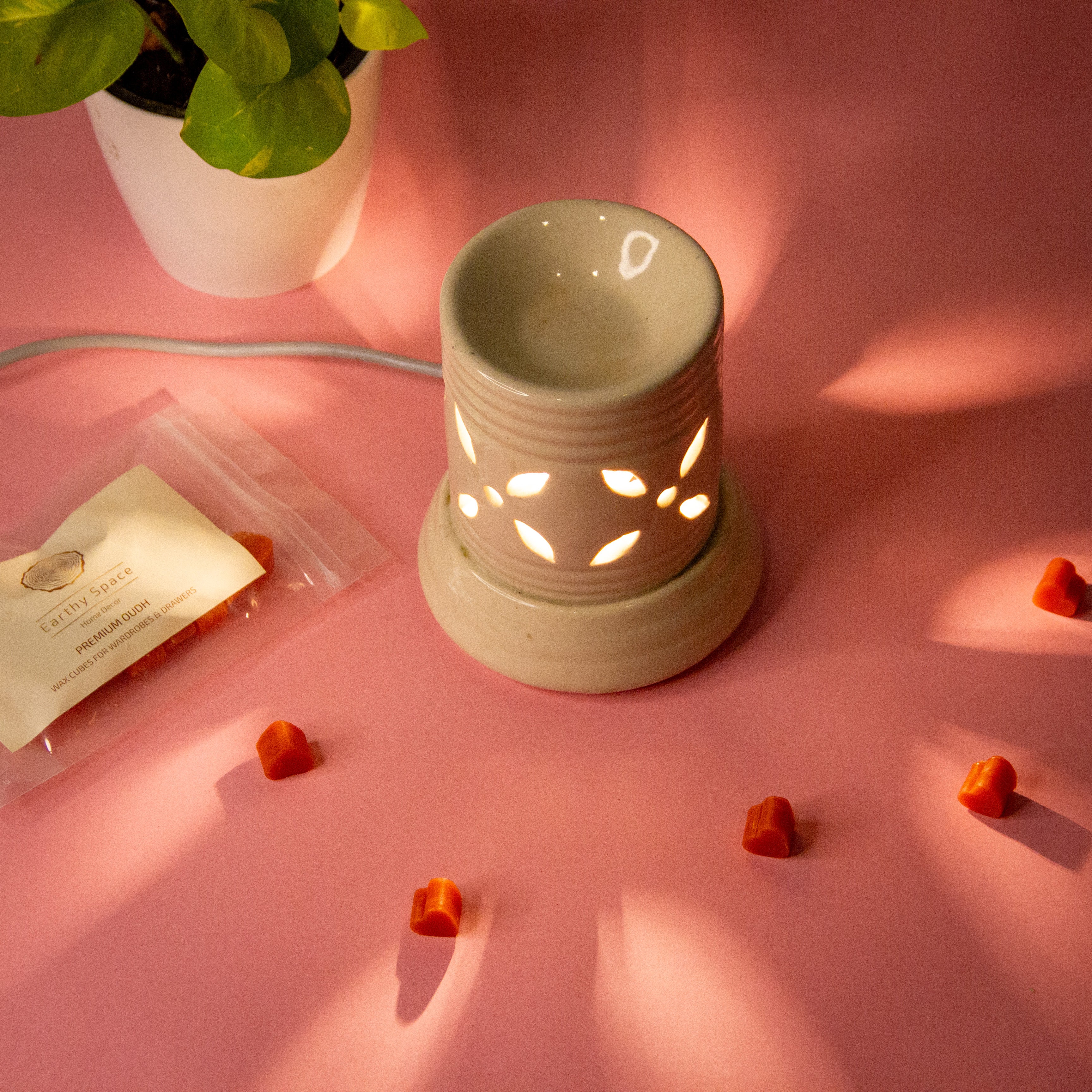 Melt Diffuser Wax Melts and Diffusers – Earthy Space Store