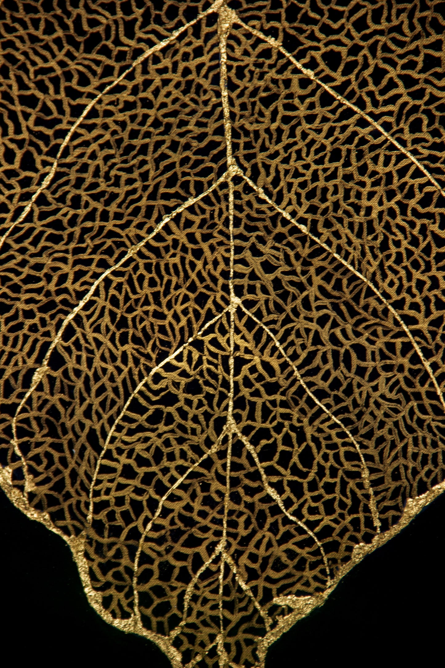 Gold Leaf Resin Artwork